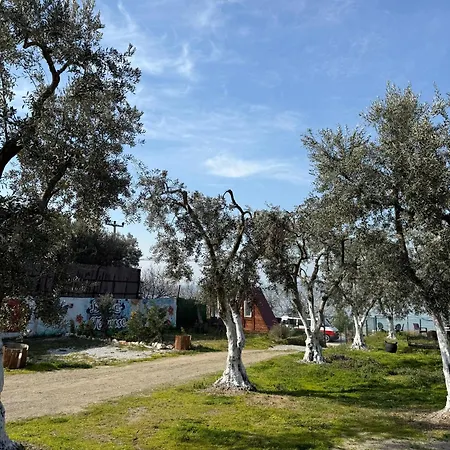 De La Terrasse * Iznik