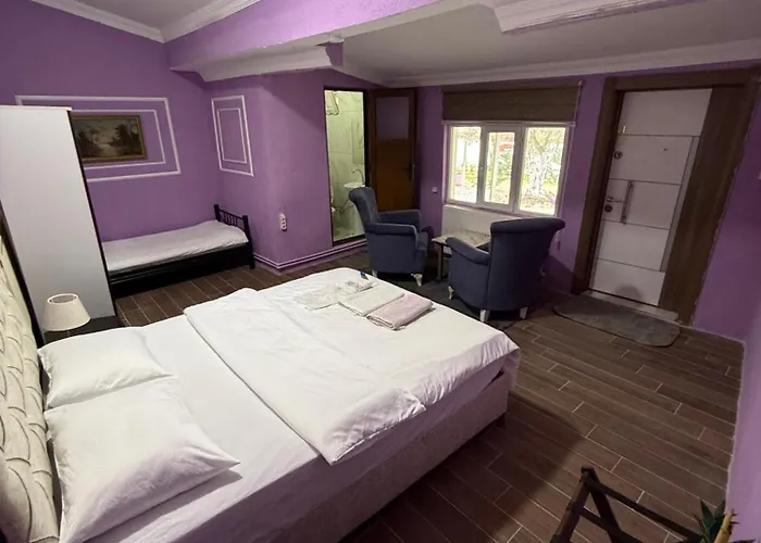 De La Terrasse Kwatera prywatna İznik