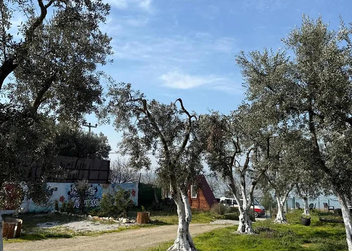 De La Terrasse * İznik